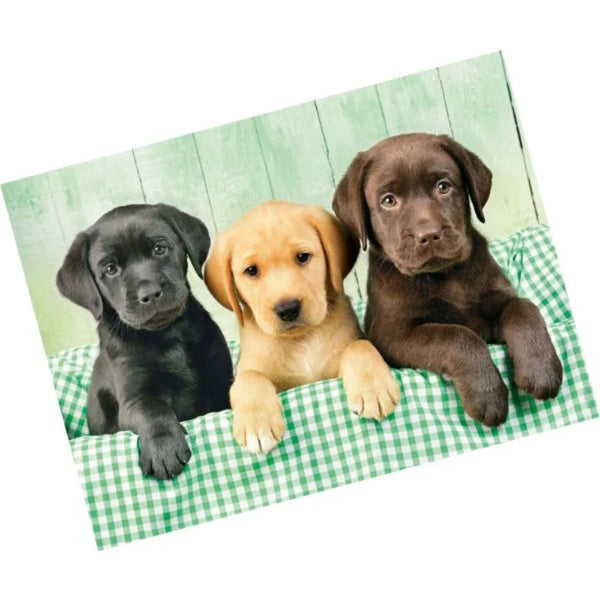 Clementoni Three Labrador Puppies High Quality Collection Puzzle - 1000 Pcs