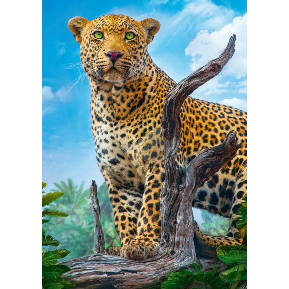 Trefl Wild Leopard Puzzle - 500 Pcs