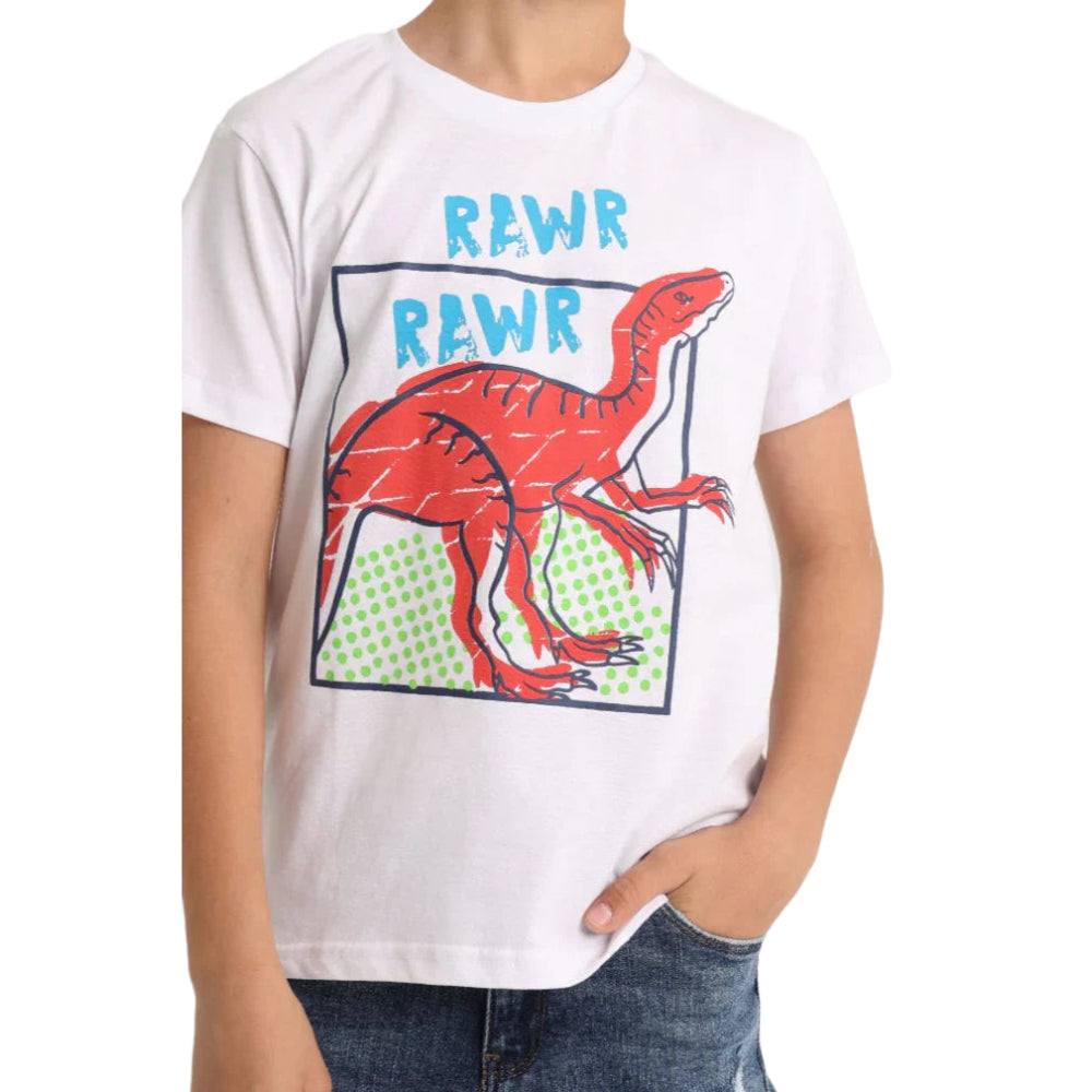 Boys Short-Sleeved T-Shirt – White Dinosaur Rawr Rawr
