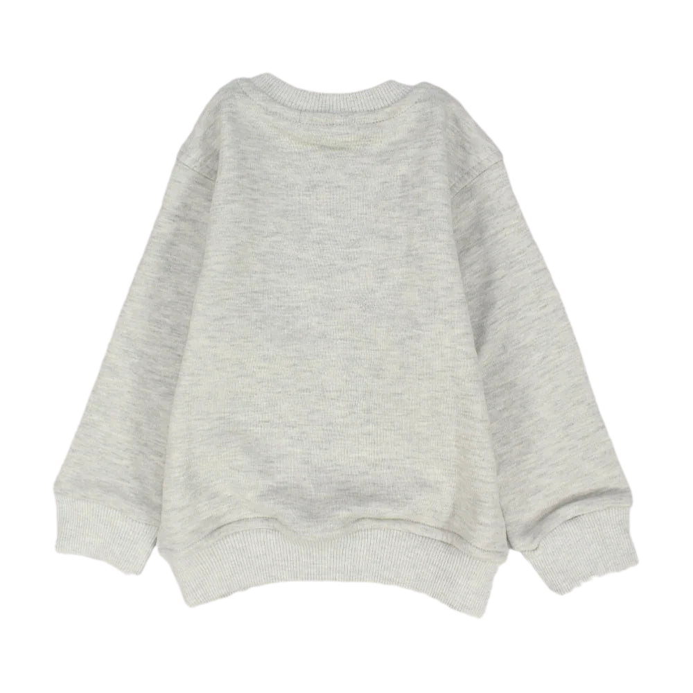 Unisex Grey Sweatshirt