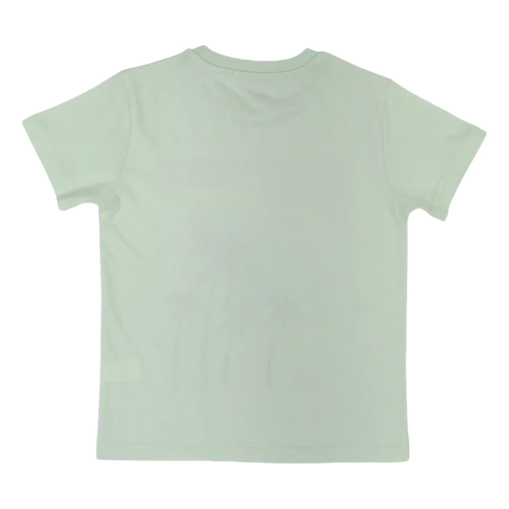 Boys Cotton T-Shirt – Mint with Endless Summer Design
