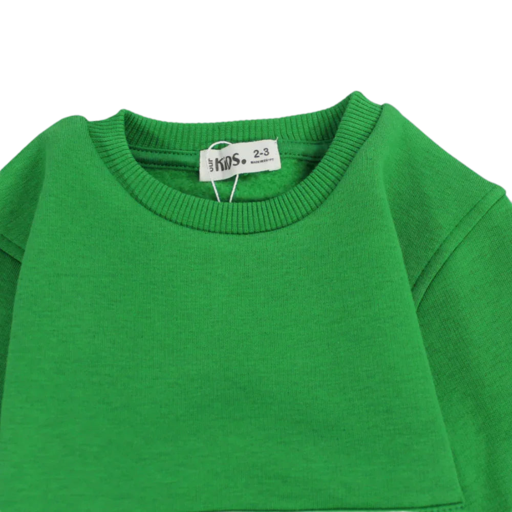 Plain Long-Sleeved Fleeced Sweatshirt
