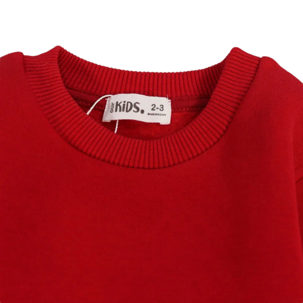 Plain Long-Sleeved Fleeced Sweatshirt