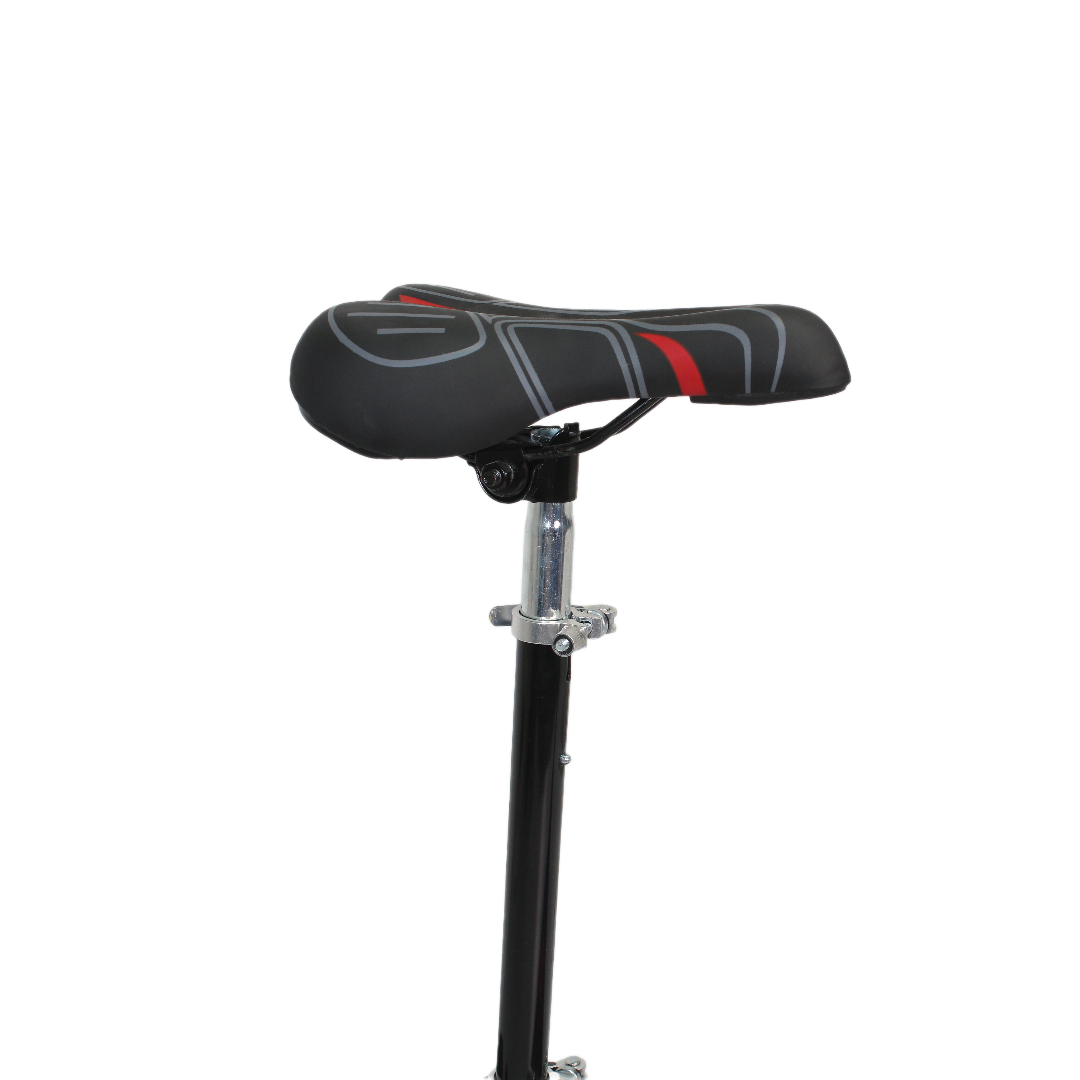 Electric Scooter with Adjustable Seat