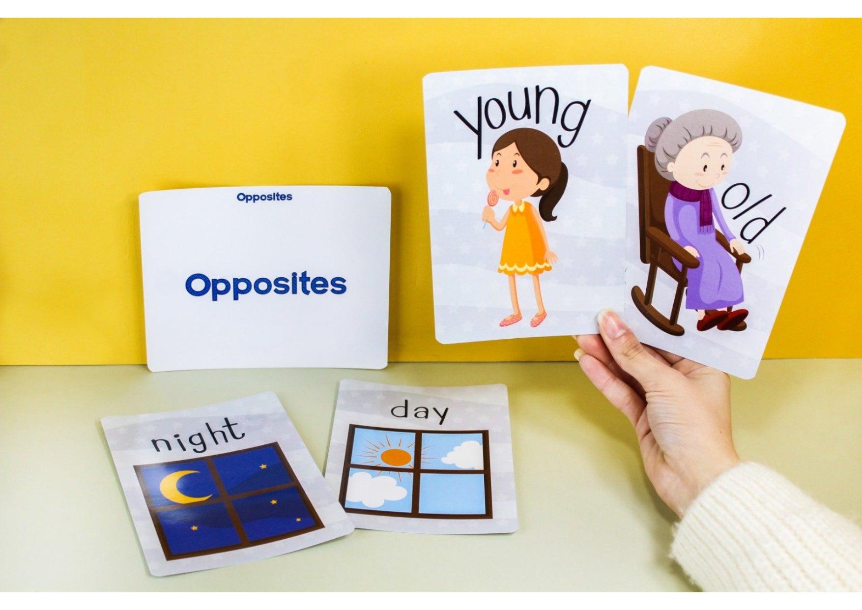 spectrum flash card complete set - Ourkids - Spectrum Publishing