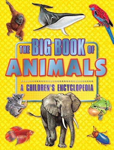 The Big Book Of Animals A Children's Encyclopedia - Ourkids - OKO