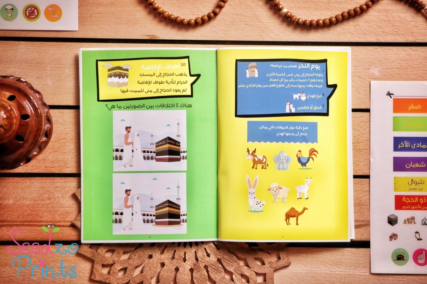 The Journey Of Hajj Booklet - Ourkids - Seedzo Prints