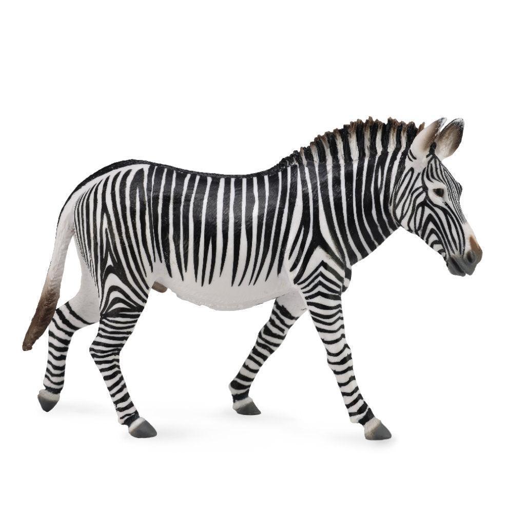 CollectA Grevy's Zebra - Ourkids - Collecta