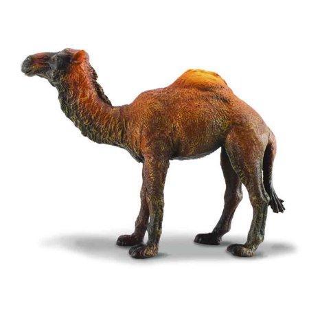 Dromedary Camel Figure Toy - Ourkids - Collecta