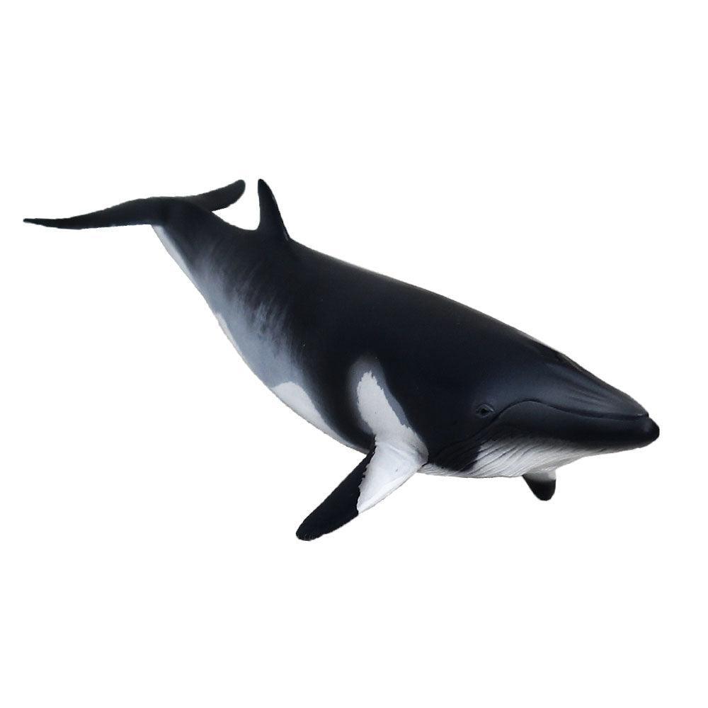 Minke Whale - Ourkids - CollectA